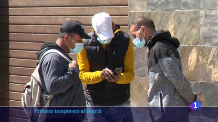 L'Informatiu - Arriben els primers temporers al Segrià