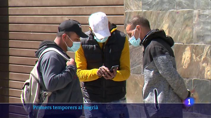L'Informatiu - Arriben els primers temporers al Segrià