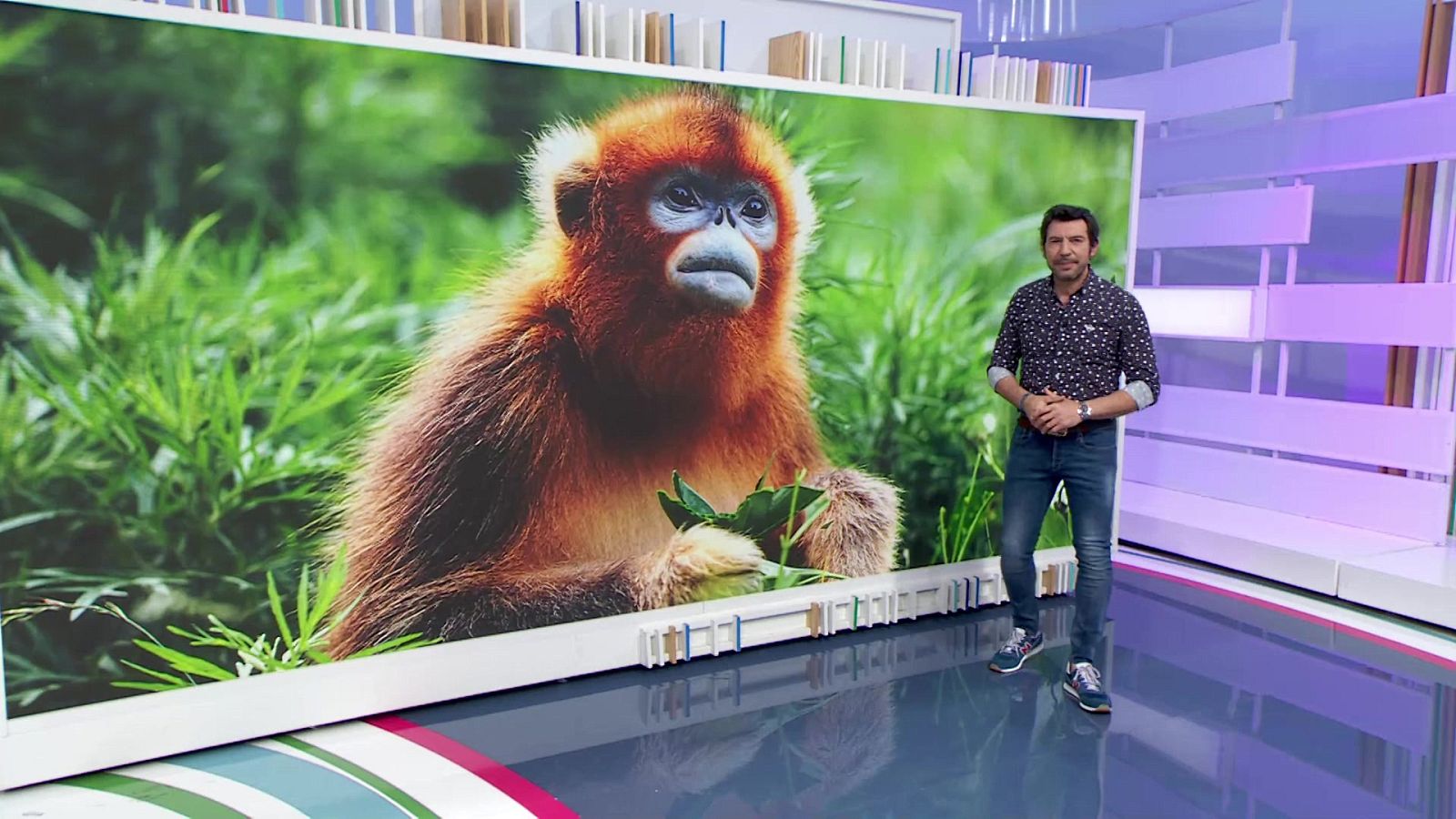 Aquí la Tierra - 18/04/21 - ver ahora