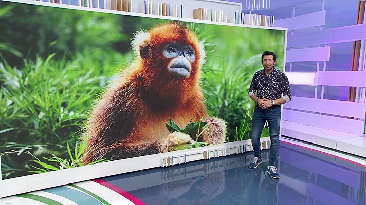 Aquí la Tierra - Aquí la Tierra - 18/04/21