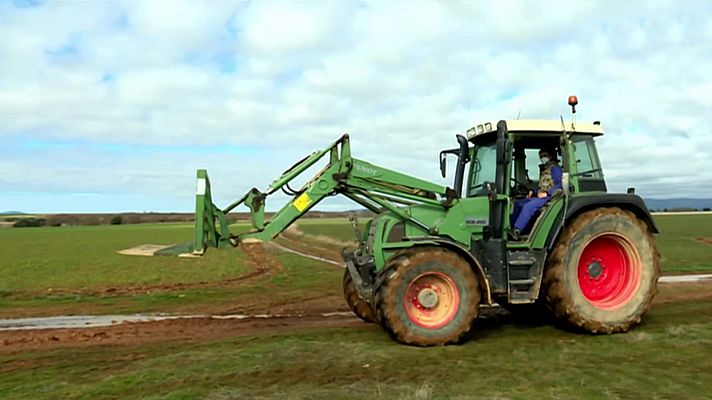 Repor - El maná verde