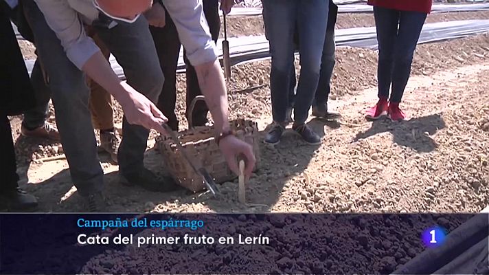 Telenavarra - Campaña del Espárrago de Navarra