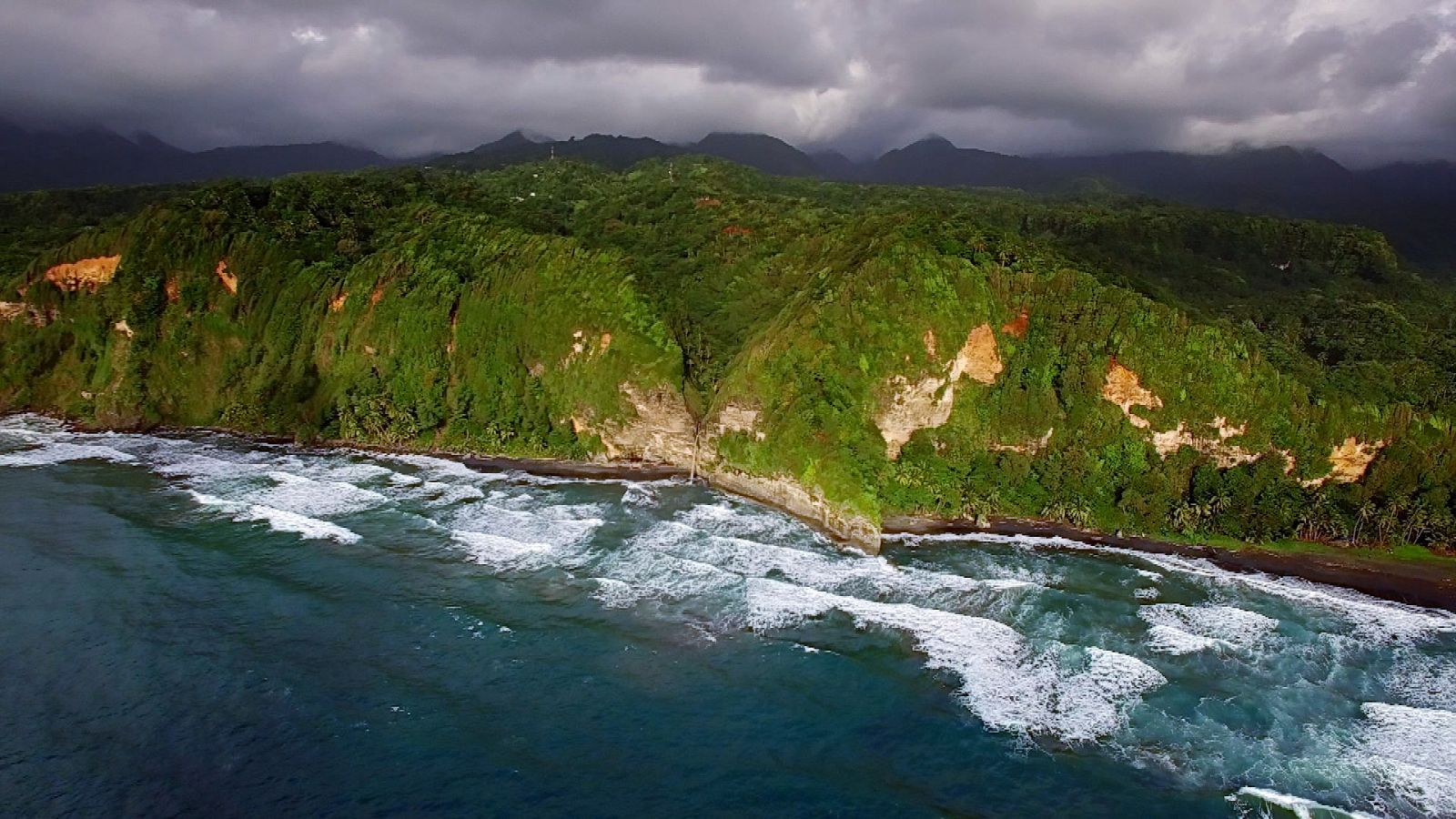 El Caribe salvaje. Los ritmos de la vida - Episodio 2: Cachalotes y volcanes - Documental en RTVE