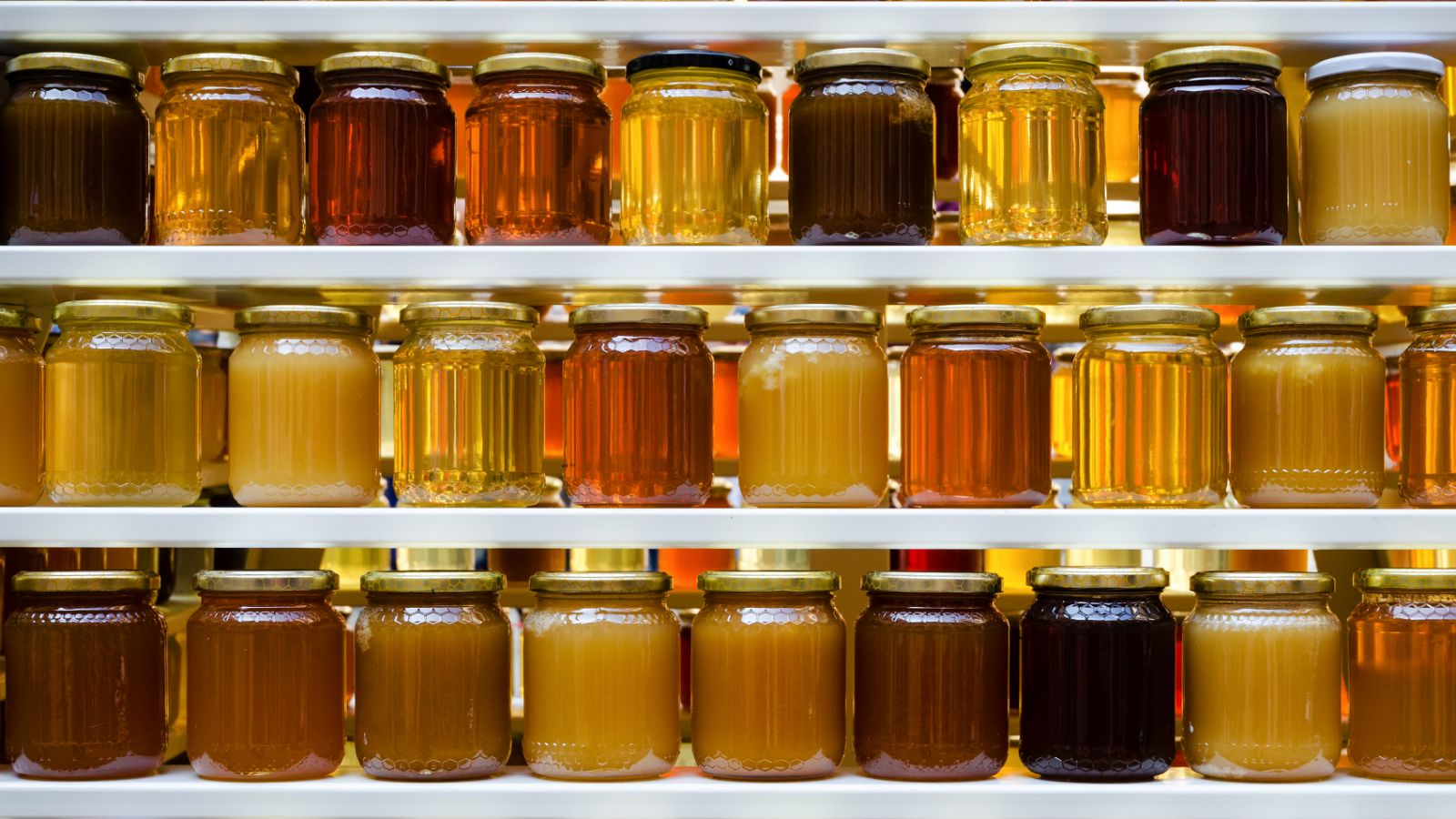 Diferencias entre tipos de miel: eucalipto, romero, acacia y tomillo