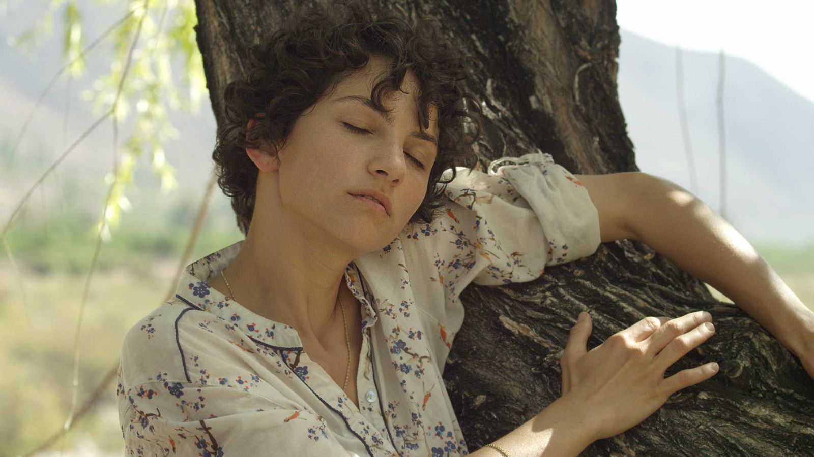 El árbol magnético: Cine español online, en Somos Cine | RTVE.es