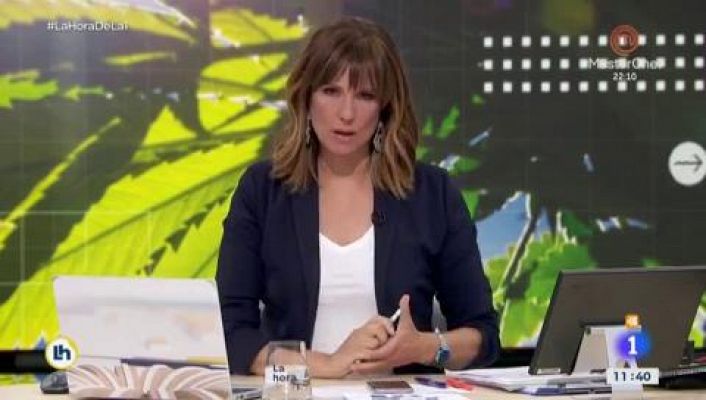 Los españoles están a favor de aprobar la marihuana