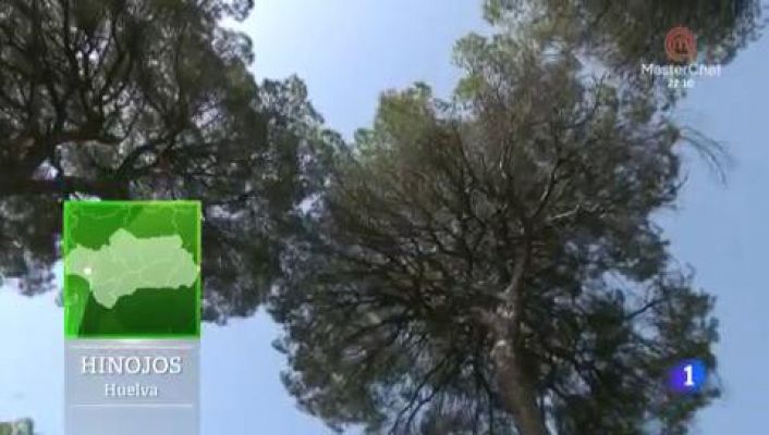 Aquí la Tierra - Botiquín de plantas medicinales