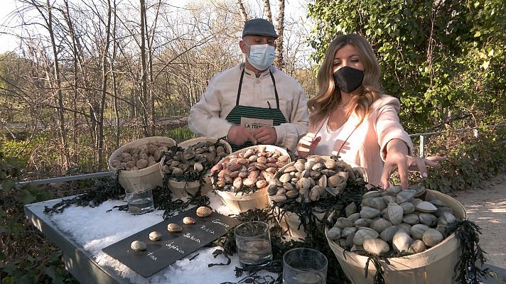 Aquí la Tierra - ¿Qué variedades de almejas hay en España?