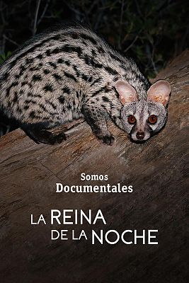 Somos Documentales - La reina de la noche