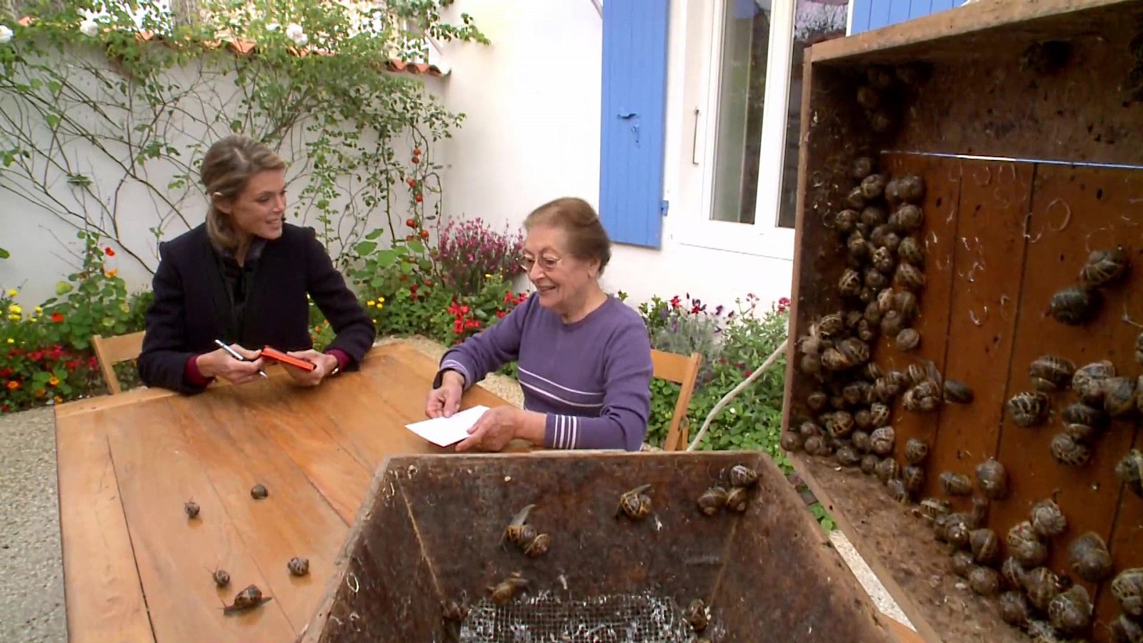 Las recetas de Julie - La Saintonge - Documental en RTVE