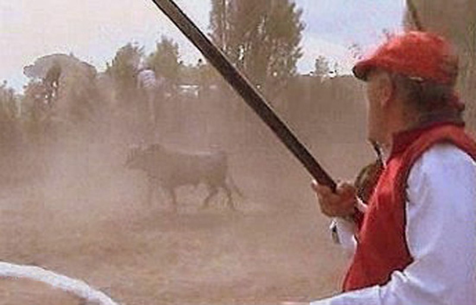 España Directo - El toro de la Vega | Ver