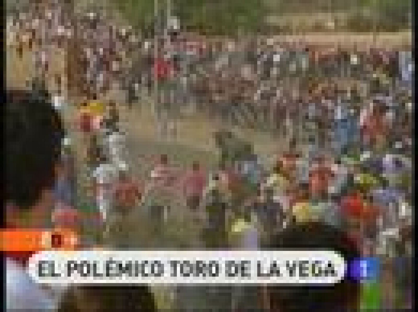 Es una de las fiestas más criticadas por su dureza, pero Tordesillas, en Valladolid, es un hervidero de gente cuando se celebra. Miles de personas abarrotan las calles por las que corre un astado que será alanceado hasta la muerte. 