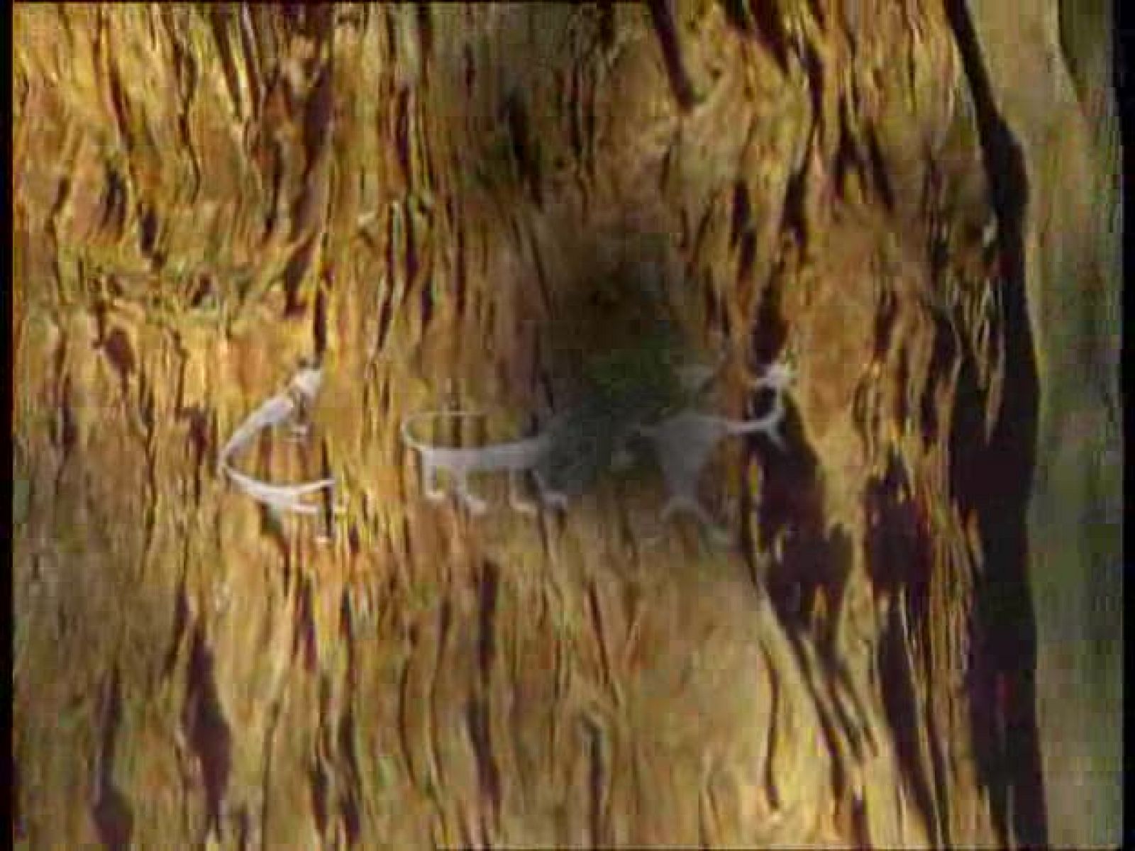 La ruta alternativa - Por la ruta de la plata - La ruta alternativa | Ver