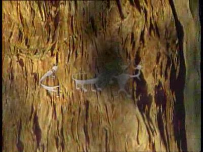 Por la ruta de la plata