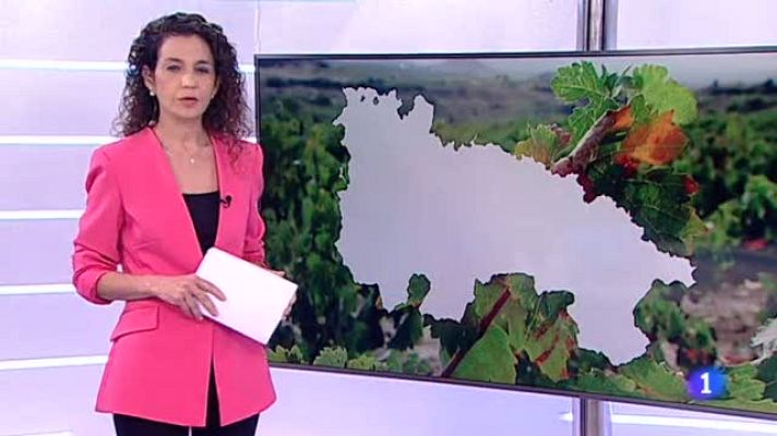 Informativo Telerioja - Informativo Telerioja - 21/04/21