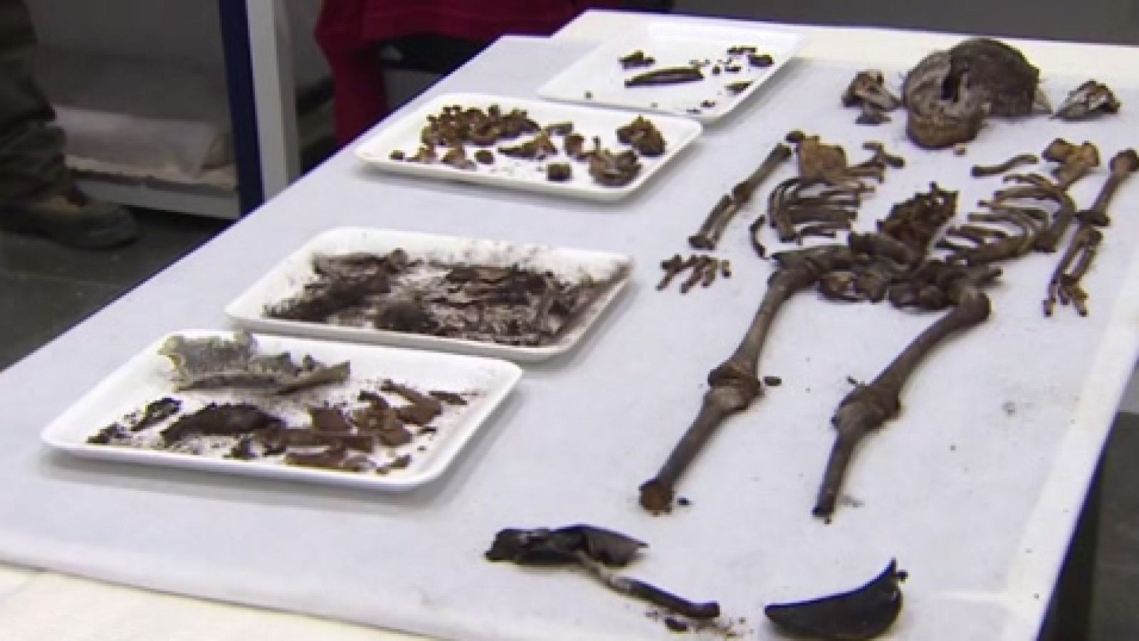 Encuentran una niña de la Baja Edad Media en el Alcázar de Sevilla | Ver