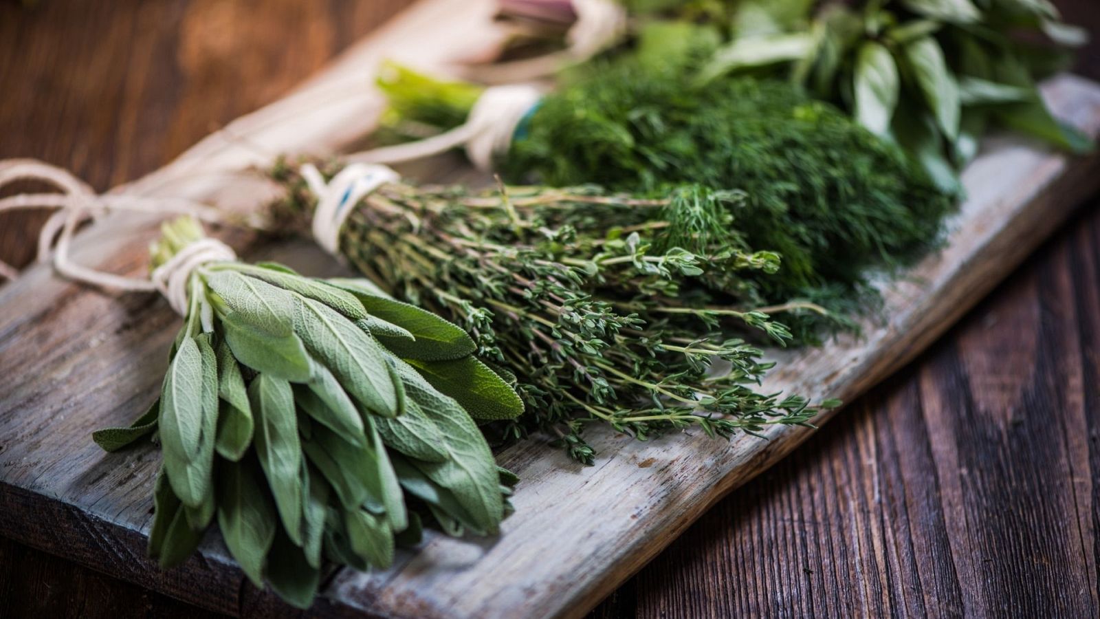 Aquí la Tierra - Historia de las hierbas aromáticas: estas son las que más usamos en la cocina española