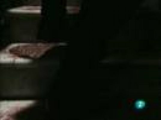 Días de cine - Palmarés de Venecia