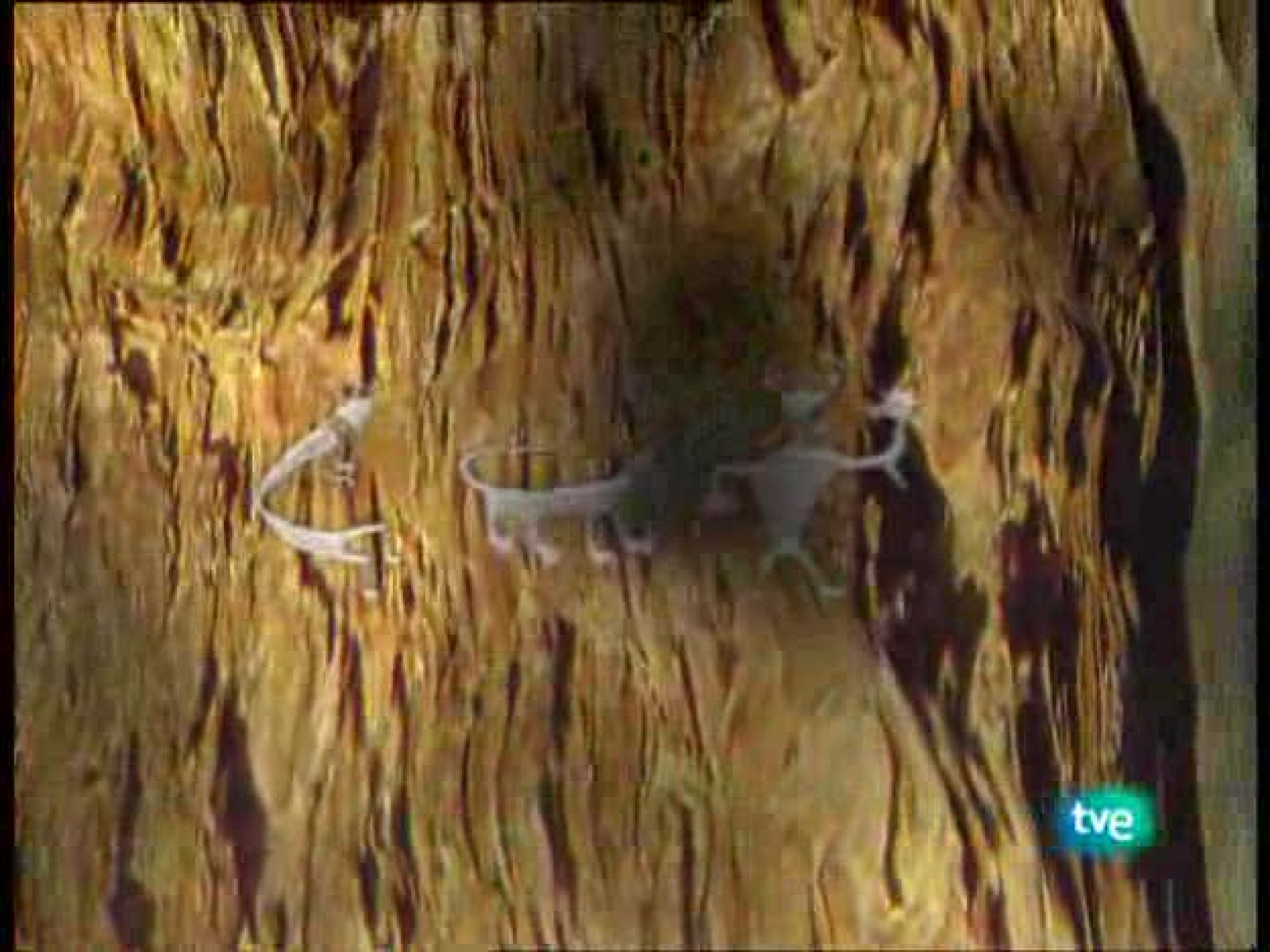 La ruta alternativa - La venganza de Favila - La ruta alternativa | Ver