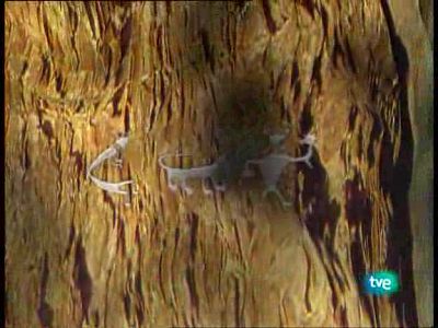 La venganza de Favila