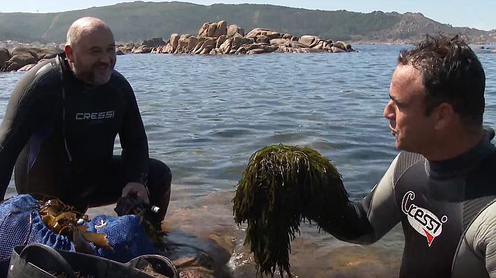 El chef del mar - Camelle I Cedeira