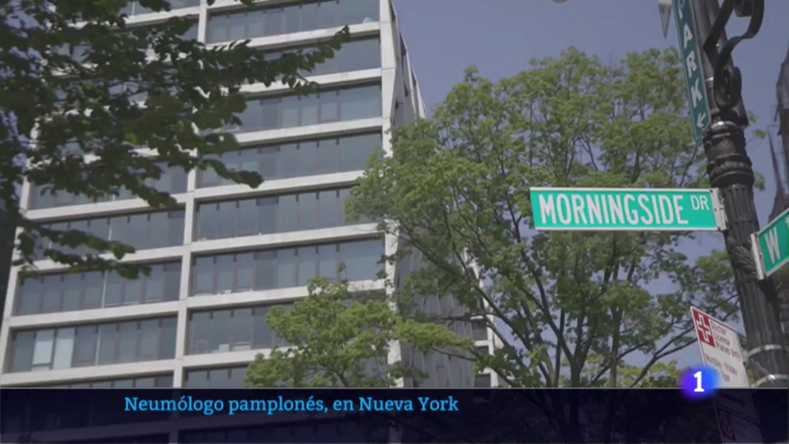 Neunólogo navarra en NUeva York