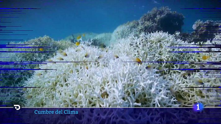 Telediario 1 - El cambio de rumbo de EE.UU. en la lucha contra el calentamiento global