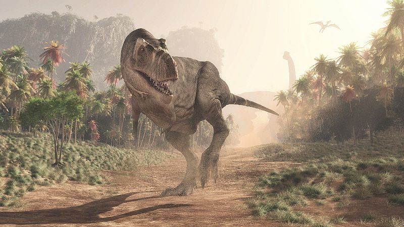 Un estudio demuestra que la velocidad del paso de un tiranosaurio era inferior a la de un ser humano