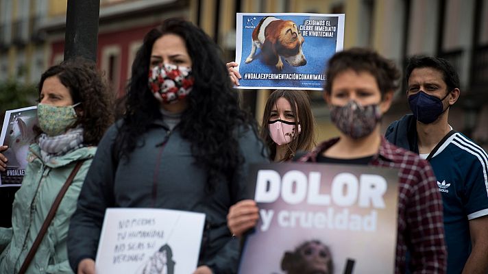 Telediario 1 - Organizaciones animalistas vuelven a pedir el rescate de los animales del laboratorio Vivotecnia de Madrid