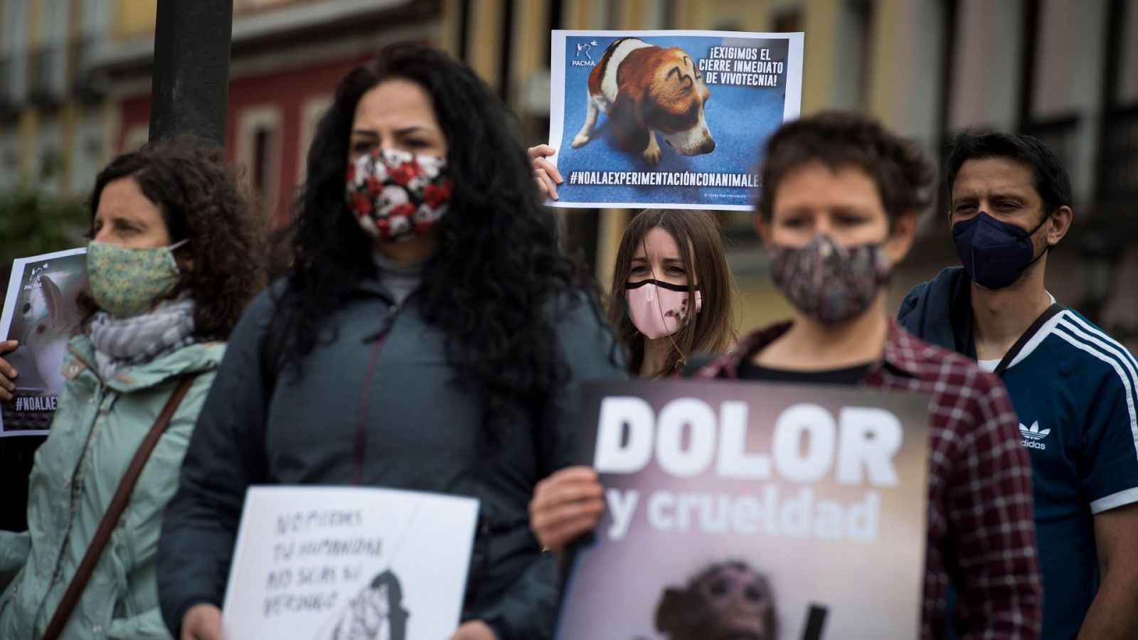 Organizaciones animalistas vuelven a pedir el rescate de los animales del laboratorio Vivotecnia de Madrid