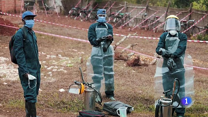 Telediario 1 - La malaria sigue siendo la principal causa de muerte en África subsahariana