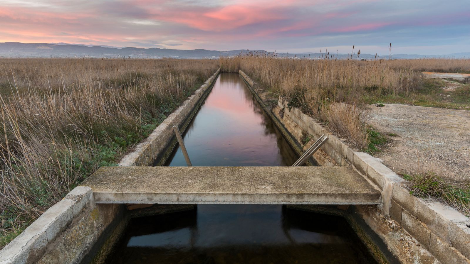 Cuatro mujeres han muerto en la Comunidad Valenciana, por estrangulamiento o asfixia, en los últimos seis meses