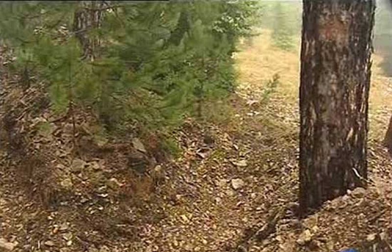  Continua la búsqueda de Publio Cordón 14 años después