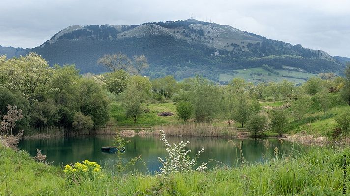 Para todos La 2 - Para todos La 2 - 24/04/21 - Lengua de signos