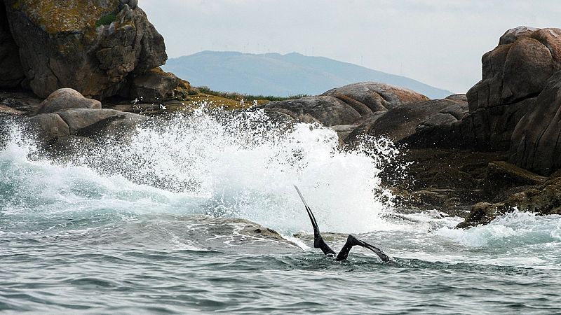 La Mesa del Turismo reclama "una fecha concreta" para abrir las fronteras a los vacunados