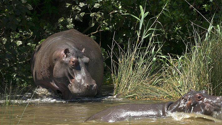 Sudáfrica (Documental) - Las costas salvajes