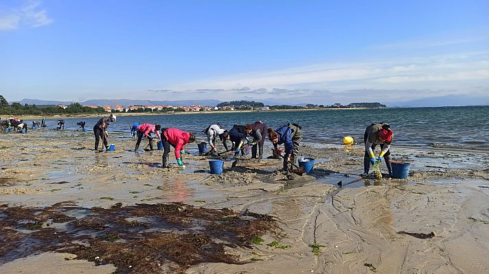 Mariscadoras recogen las mascarillas de la Ría de Arousa