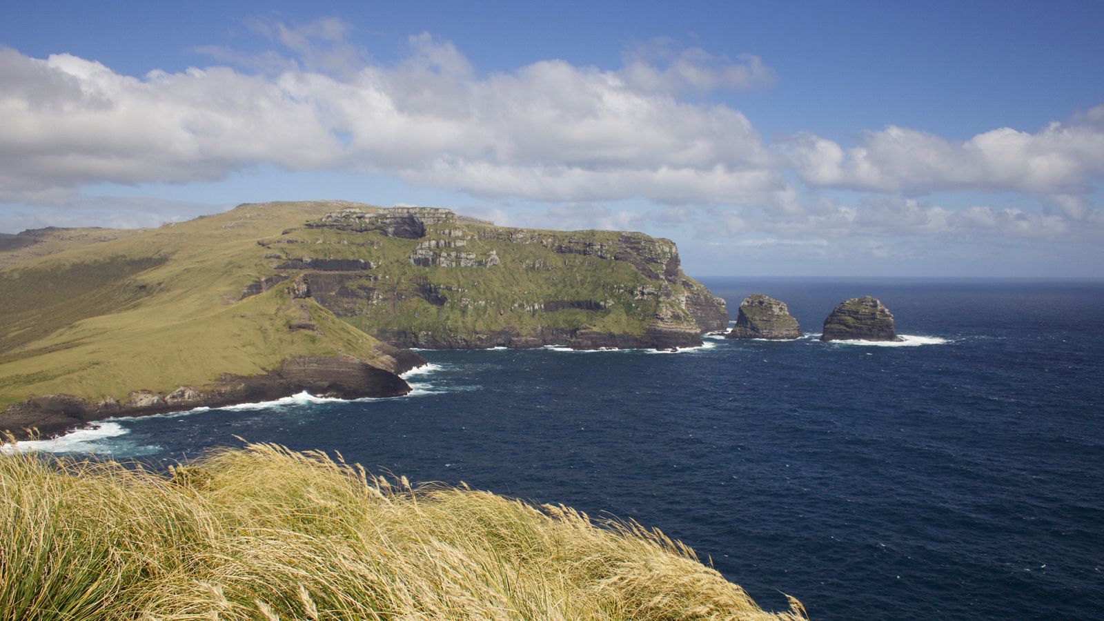 Somos documentales - Gigantes de la isla salvaje - ver ahora