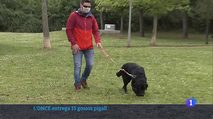 L'Informatiu - L'Informatiu 2 - 28/04/2021