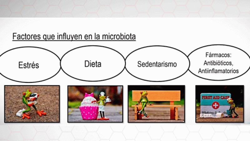 La aventura del saber la microbiota Almería Universidad Responde Crue #AventuraSaberUResponde