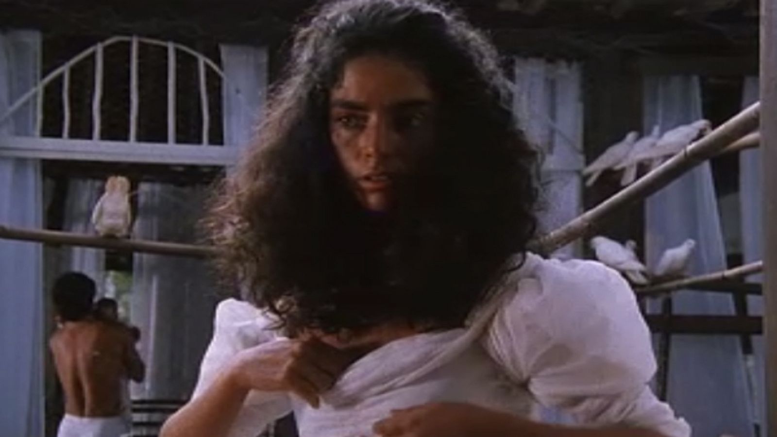 Amores difíciles - Fábula de la bella palomera - Amores difíciles | Ver