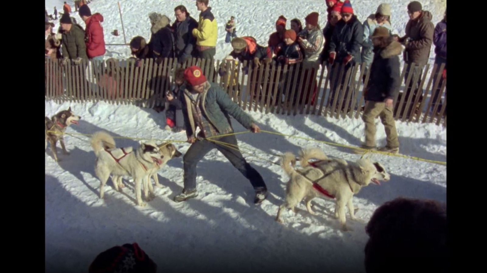 El hombre y la tierra (Serie canadiense) - Iditarod. 1000 millas sobre hielo I - ver ahora