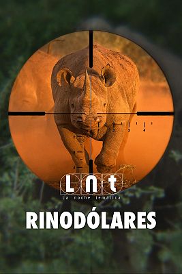 La noche temática - Rinodólares