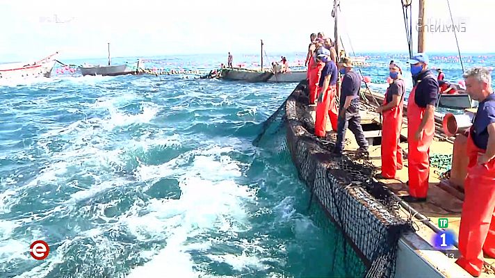 España Directo - España Directo - 29/04/21