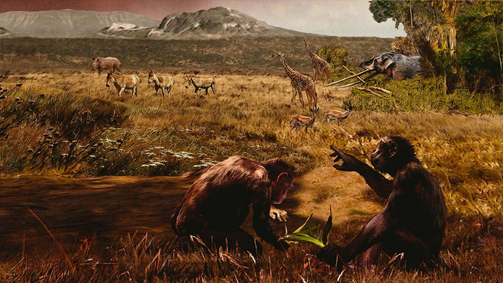 Somos documentales - Una nueva versión de la evolución humana - ver ahora