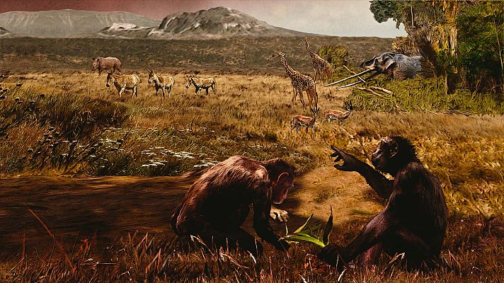 Somos Documentales - Una nueva versión de la evolución humana