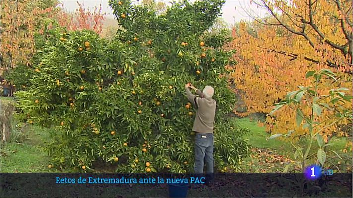 Cambiar el modelo productivo y rural, objetivos del Pacto Verde para Extremadura