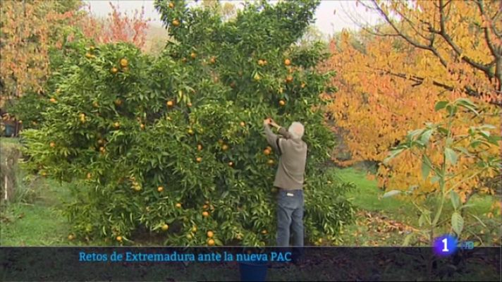 Noticias de Extremadura - Cambiar el modelo productivo y rural, objetivos del Pacto Verde para Extremadura