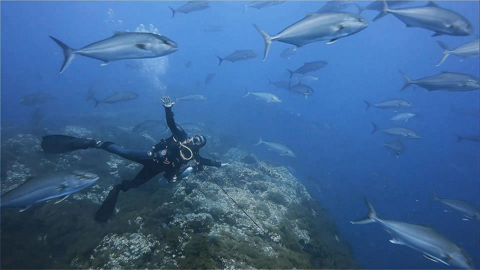 Agrosfera - 01/05/21 - ver ahora