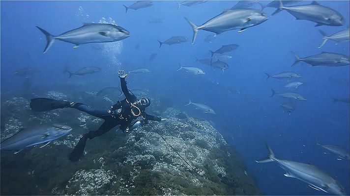 Agrosfera - Agrosfera - 01/05/21